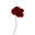 Still Theorem logo